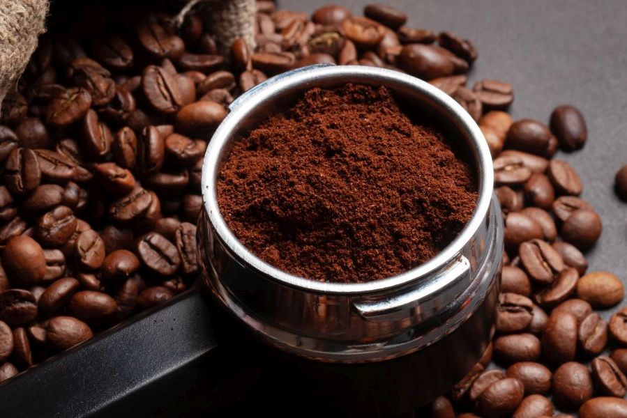 Roasted coffee beans and ground coffee in filter holder